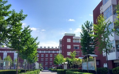 北京市信息管理學校、學校招生計劃